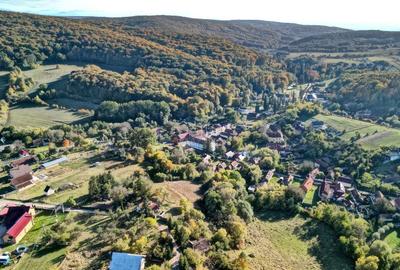 Teren Construcții intravilan de 2825 mp, în Vâlcele - 20