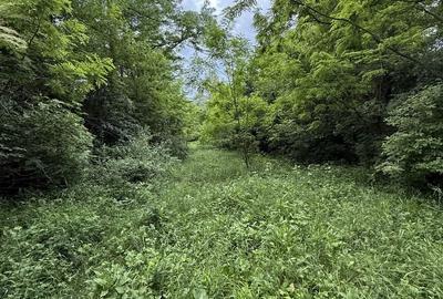 Teren Construcții intravilan de 3800 mp, în Provița de Sus - 29