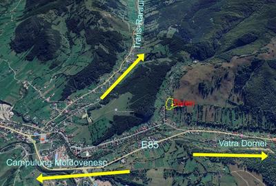Teren de 8000 mp, în Pojorâta - 1