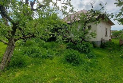 Casă cu 3 camere cu Teren 4000 Mp în Cetățeni - 11