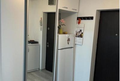 Apartament cu 2 camere semidecomandat, mobilat în Tineretului - 9
