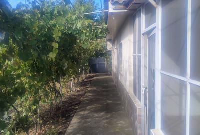 Casă cu 3 camere în Movila - 7