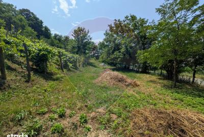 Teren de 2800 mp, în Măgura