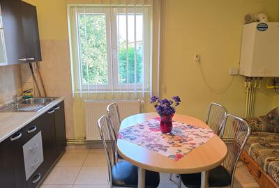 Apartament cu 21 camere decomandat în Bălcescu - 8
