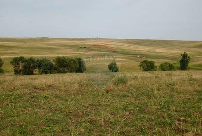 Teren agricol intravilan de 260000 mp, în Stroiești - 22