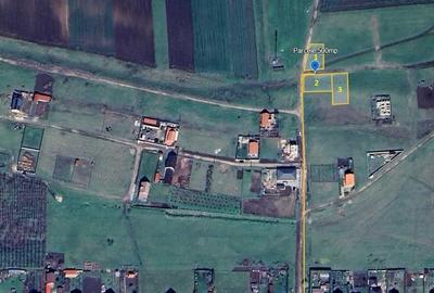 Teren de 500 mp, în Horia - 3