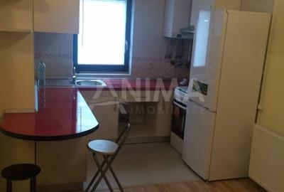 Apartament cu 2 camere semidecomandat, mobilat în Plopilor - 4