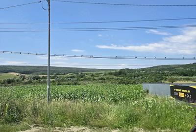 Teren de 2472 mp, în Plavia - 3