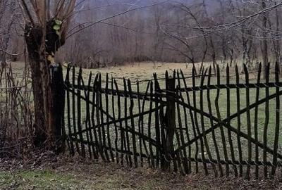 Teren agricol extravilan de 9826 mp, în Aluniș - 7