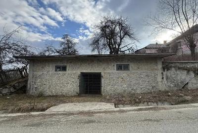 Teren de 24000 mp, în Nucșoara - 5
