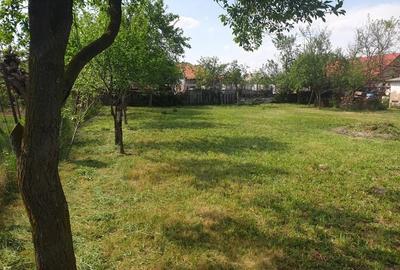 Casă cu 4 camere în Orțișoara
