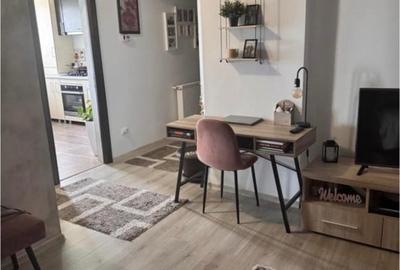 Apartament cu 3 camere decomandat, mobilat în Brazda lui Novac