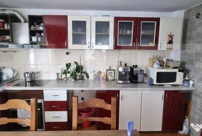 Casă cu 4 camere cu Teren 7000 Mp în Central