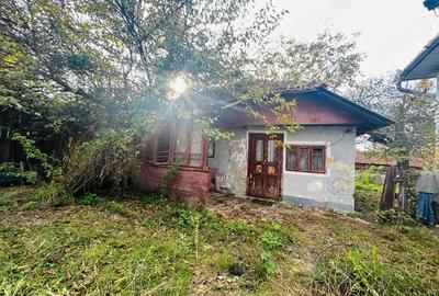Casă cu 3 camere cu Teren 2872 Mp în Slătioara - 4