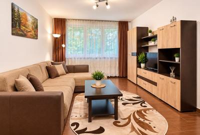 Apartament cu 2 camere decomandat, mobilat în Drumul Taberei