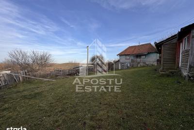 Casă cu 4 camere cu Teren 2231 Mp în Cerbăl - 2
