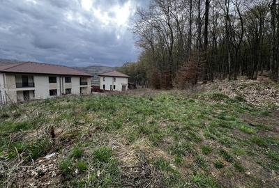 Teren Construcții intravilan de 500 mp, în Florești - 1