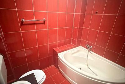 Apartament cu 2 camere în Burdea - 12