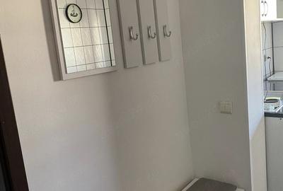 Garsonieră decomandată în Berceni - 4