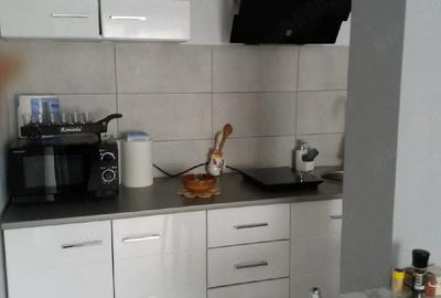 Apartament cu 2 camere nedecomandat în Poiana Țapului - 6