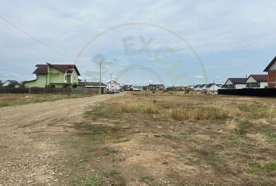 Teren Construcții intravilan de 10000 mp, în Craiovei - 3