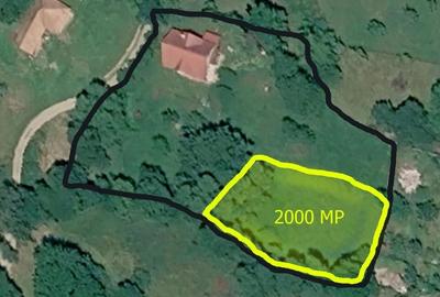 Teren de 2000 mp, în Sohodol