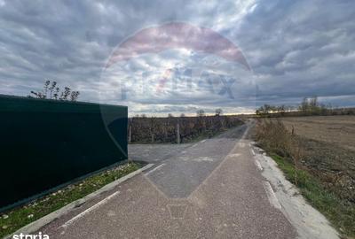 Teren de 915 mp, în Cârligele