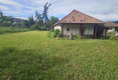 Casă cu 3 camere decomandat cu Teren 725 Mp în Săbed - 7