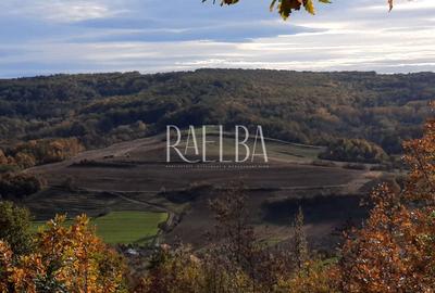 Teren agricol extravilan de 470000 mp, în Borăscu - 3