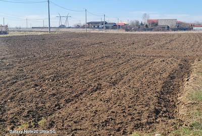 Teren Construcții intravilan de 632 mp, în Vadu Anei - 4