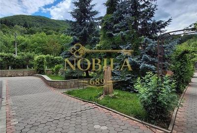 Casă cu 4 camere în Bogata - 9