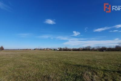 Teren Construcții intravilan de 665 mp, în Pădureni (Jebel) - 2