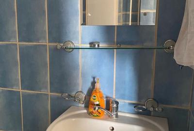 Garsonieră în Tei