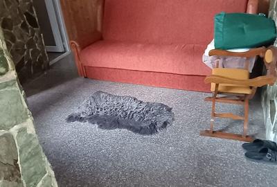 Casă cu 3 camere în Romanești