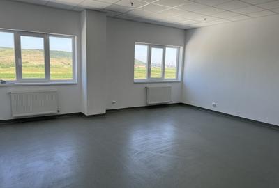 Spațiu industrial, de 1,200 mp, în Exterior Est - 10