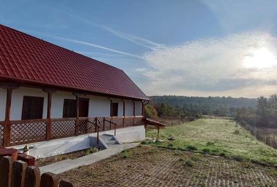 Casă cu 3 camere cu Teren 814 Mp în Sânandrei - 6