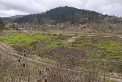 Teren de 22600 mp, în Sucevița - 12