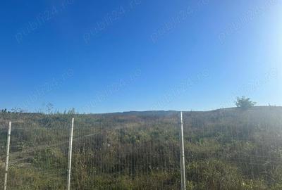 Teren de 11100 mp, în Sopor