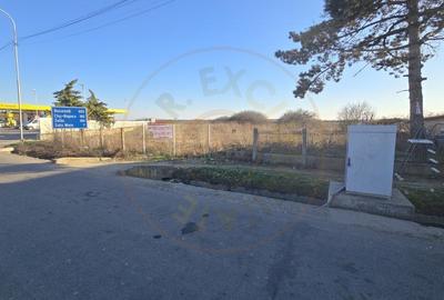 Teren Construcții intravilan de 12000 mp, în Petea - 4