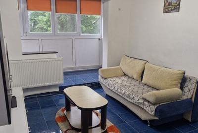 Apartament cu 2 camere semidecomandat în Plantelor - 6