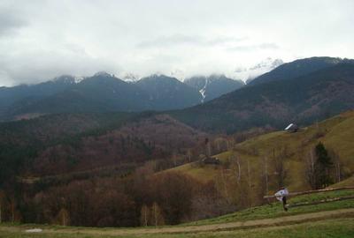 Teren Construcții intravilan de 21000 mp, în Măgura - 2