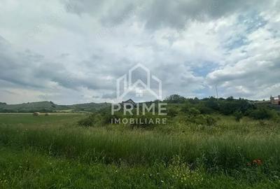 Teren de 1493 mp, în Teleac - 1