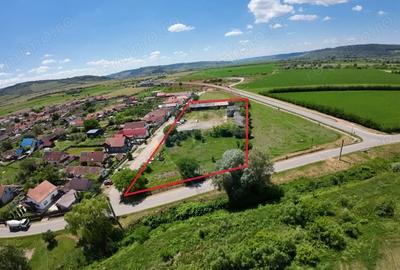 Teren de 7929 mp, în Daneș - 3