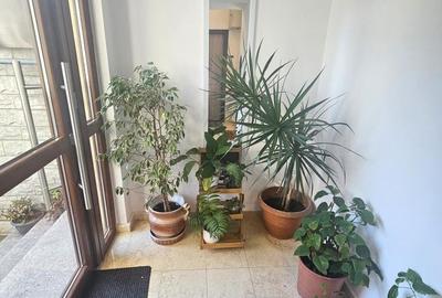 Apartament cu 3 camere în Chitila