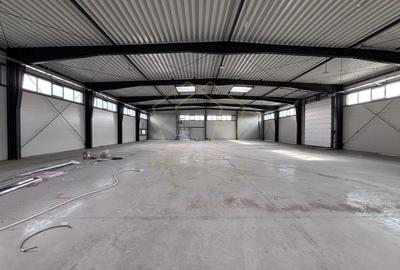 Spațiu industrial, de 1,308 mp, în Sânandrei - 1