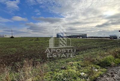 Teren de 30400 mp, în Giarmata - 3