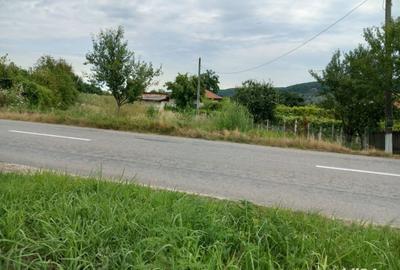 Teren de 10351 mp, în Aninoasa - 3