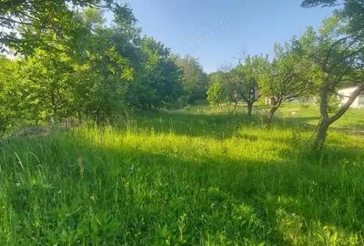 Teren de 1200 mp, în Dârmănești - 2