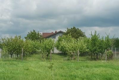 Casă cu 3 camere cu Teren 4250 Mp în Moara Vlăsiei