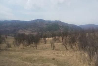 Teren de 5000 mp, în Brăești